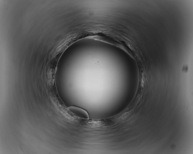 X0000116160428200911231409