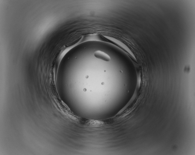 X0000116160429200911231409