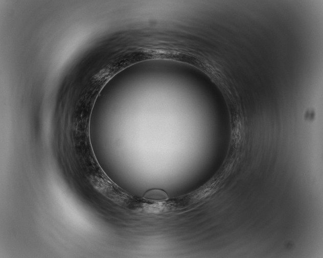 X0000116160430200911231409