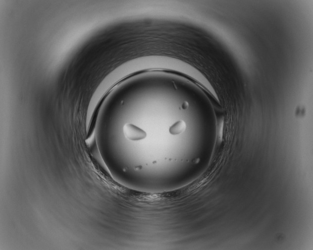 X0000116160431200911231409