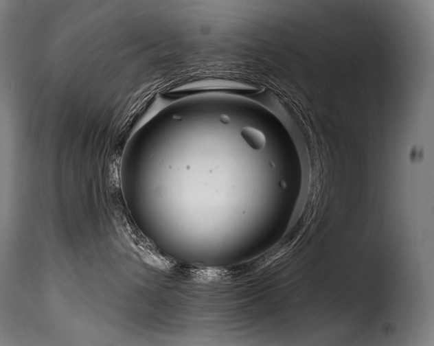 X0000116160432200911231409