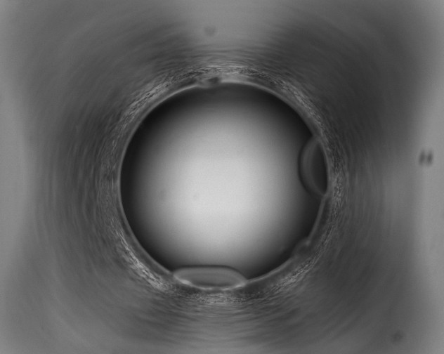 X0000116160433200911231409