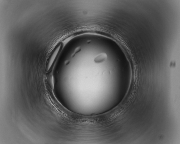 X0000116160434200911231409