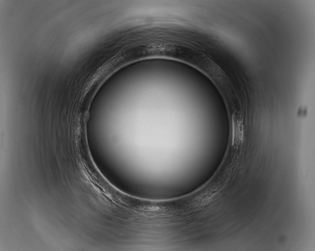 X0000116160435200911231409