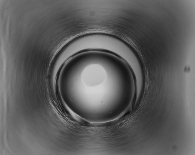 X0000116160436200911231409