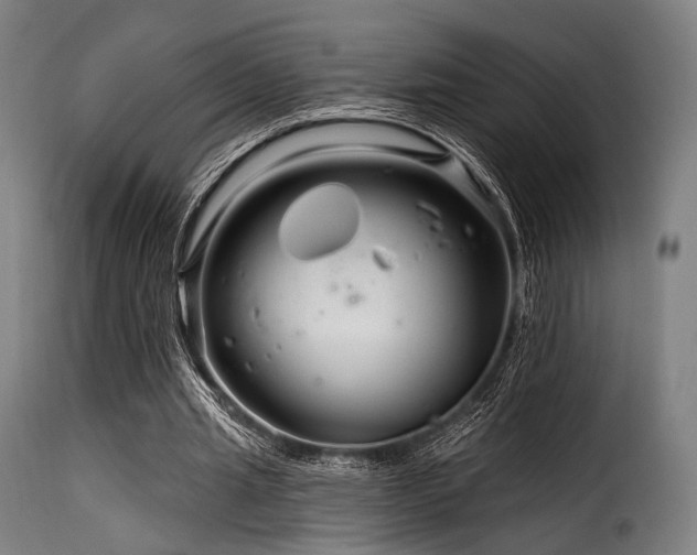 X0000116160437200911231409