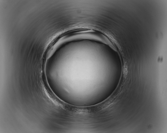 X0000116160438200911231409