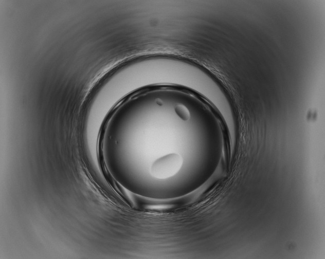 X0000116160440200911231409