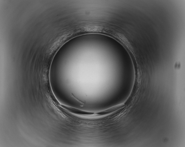 X0000116160441200911231409