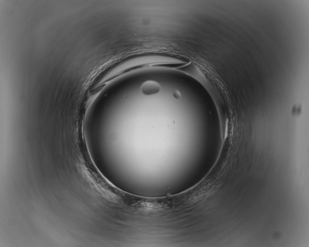 X0000116160442200911231409