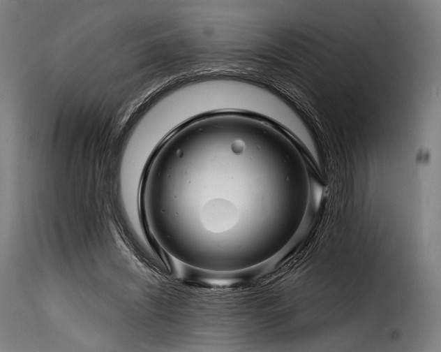 X0000116160444200911231409