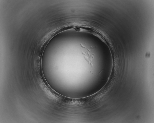 X0000116160445200911231409