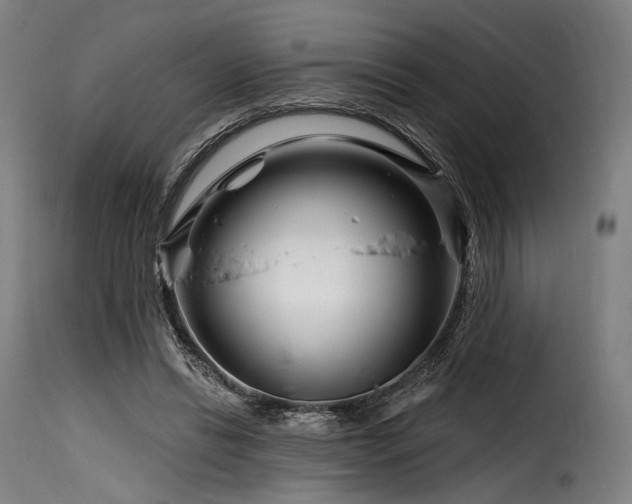 X0000116160446200911231409