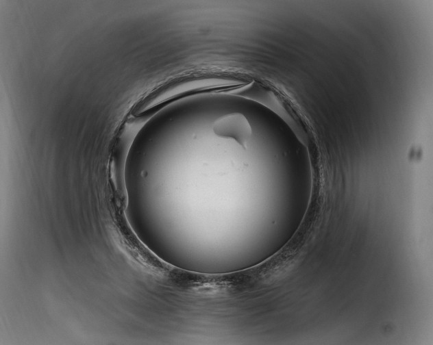 X0000116160447200911231409