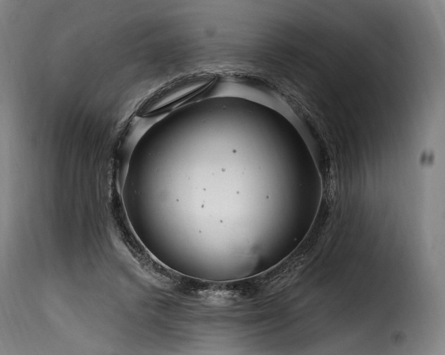 X0000116160448200911231409