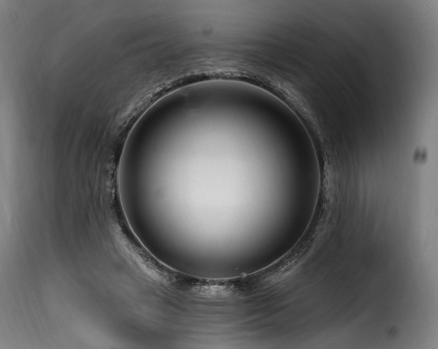 X0000116160449200911231409