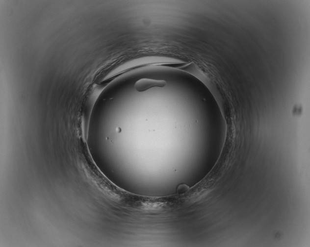 X0000116160450200911231409