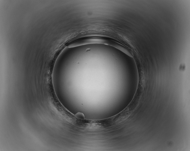 X0000116160451200911231409