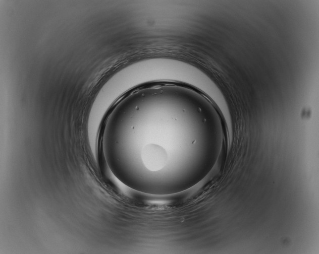 X0000116160452200911231409