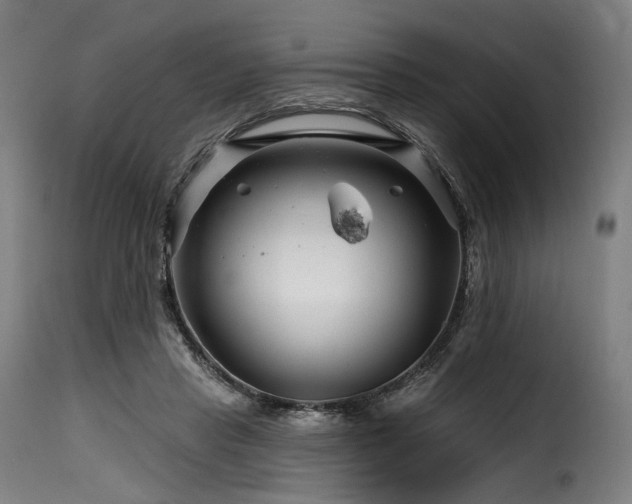 X0000116160453200911231409