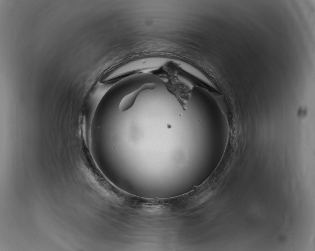 X0000116160454200911231409