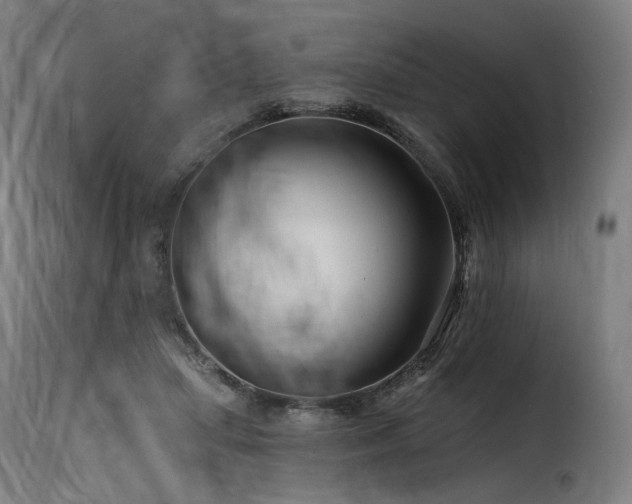 X0000116160455200911231409