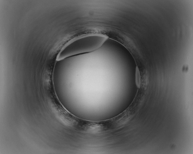 X0000116160456200911231409