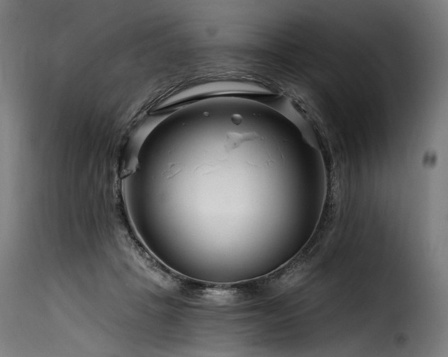 X0000116160457200911231409