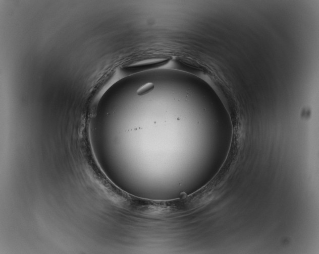 X0000116160458200911231409