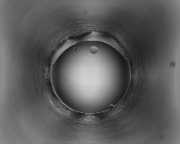 X0000116160459200911231409