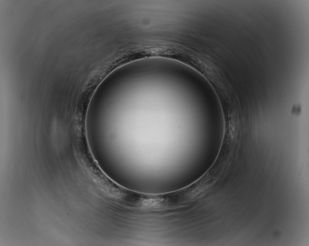 X0000116160461200911231409