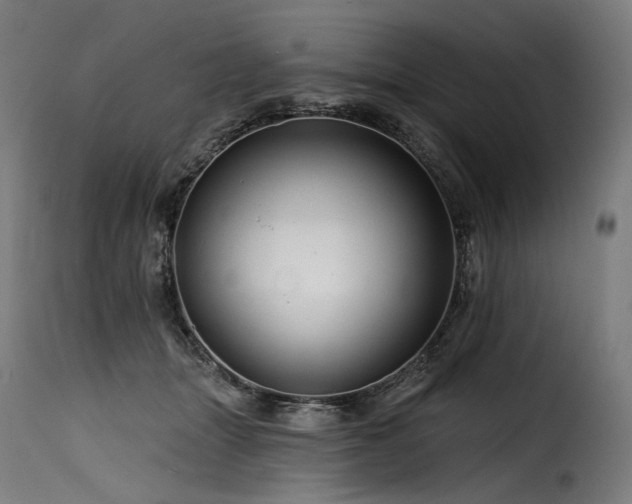 X0000116160463200911231409