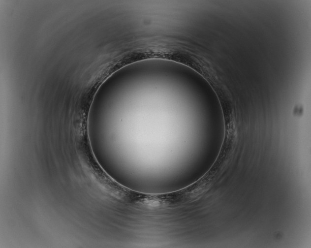 X0000116160464200911231409