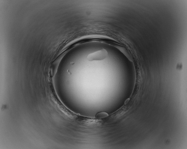 X0000116160465200911231409