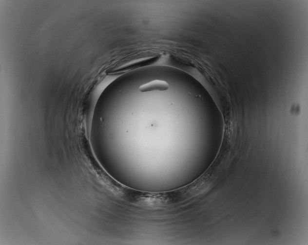 X0000116160466200911231409