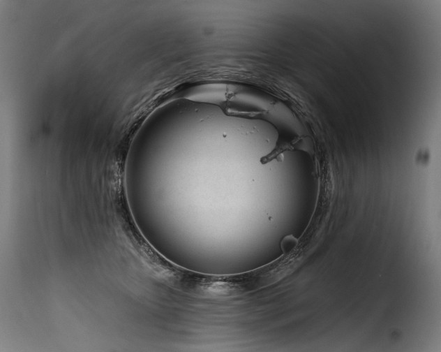 X0000116160467200911231409