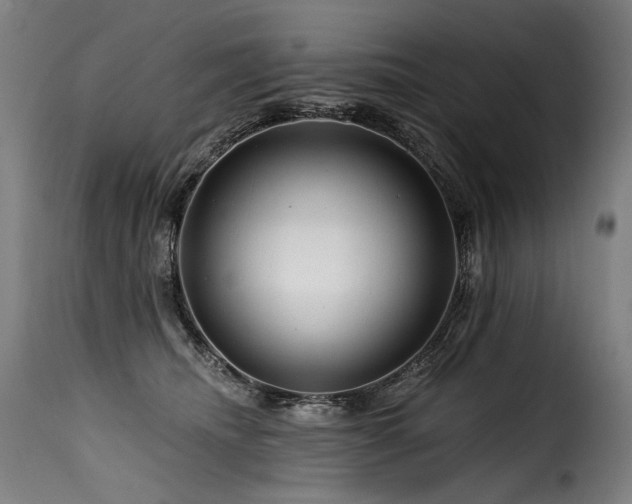 X0000116160468200911231409