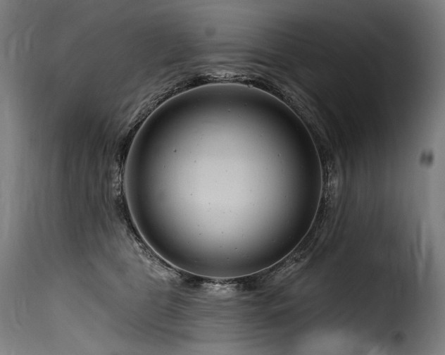 X0000116160469200911231409