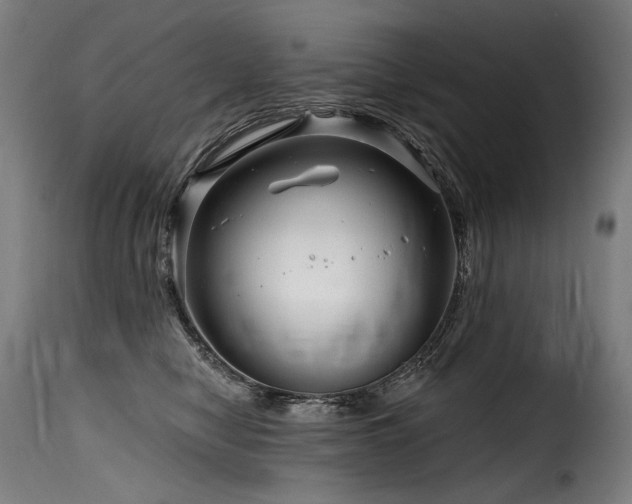 X0000116160470200911231409