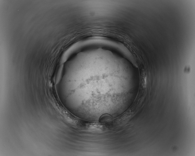 X0000116160471200911231409