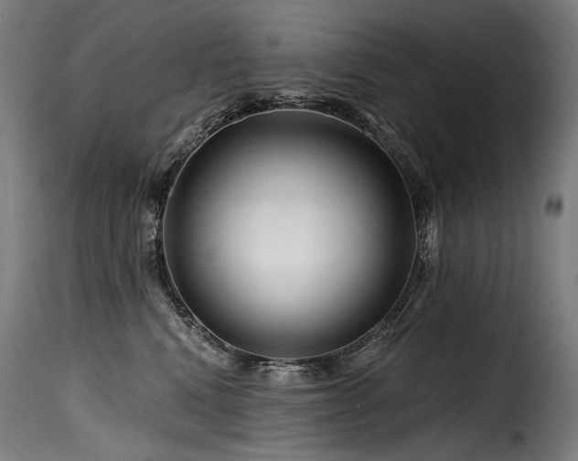 X0000116160472200911231409