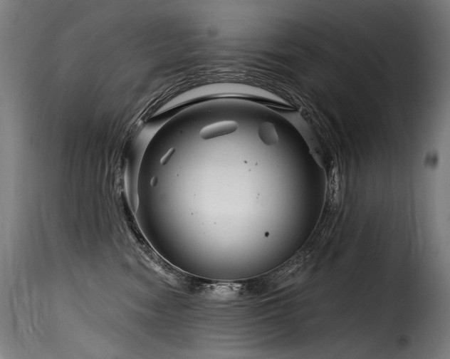 X0000116160474200911231409