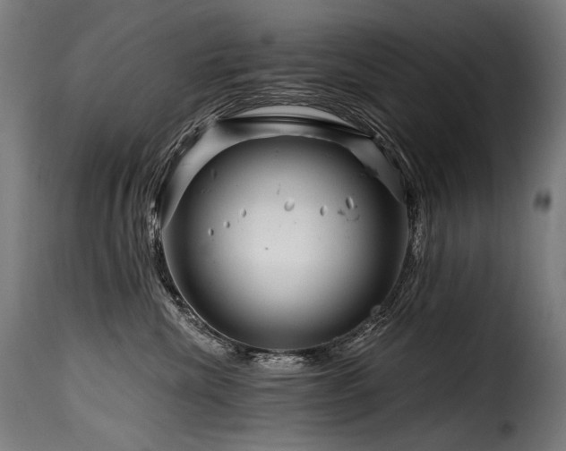 X0000116160476200911231409