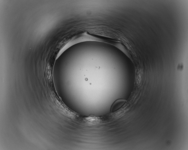 X0000116160477200911231409