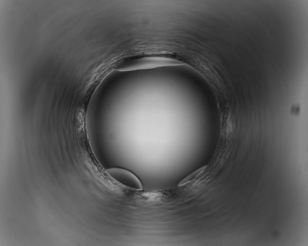 X0000116160478200911231409