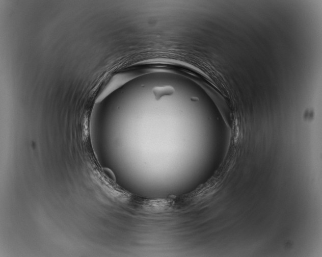 X0000116160479200911231409