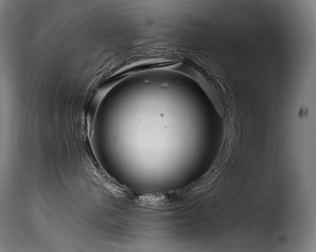 X0000116160480200911231409