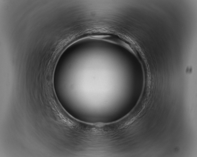 X0000116160481200911231409