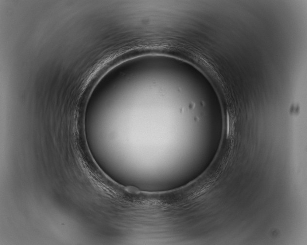 X0000116160483200911231409