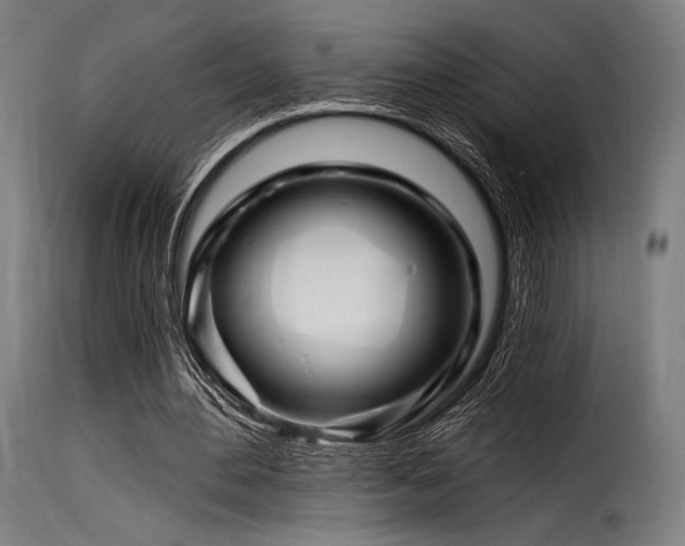 X0000116160484200911231409